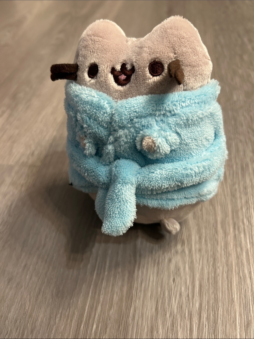 Pusheen Plush in Light Blue Bath Wrap- NWOT
